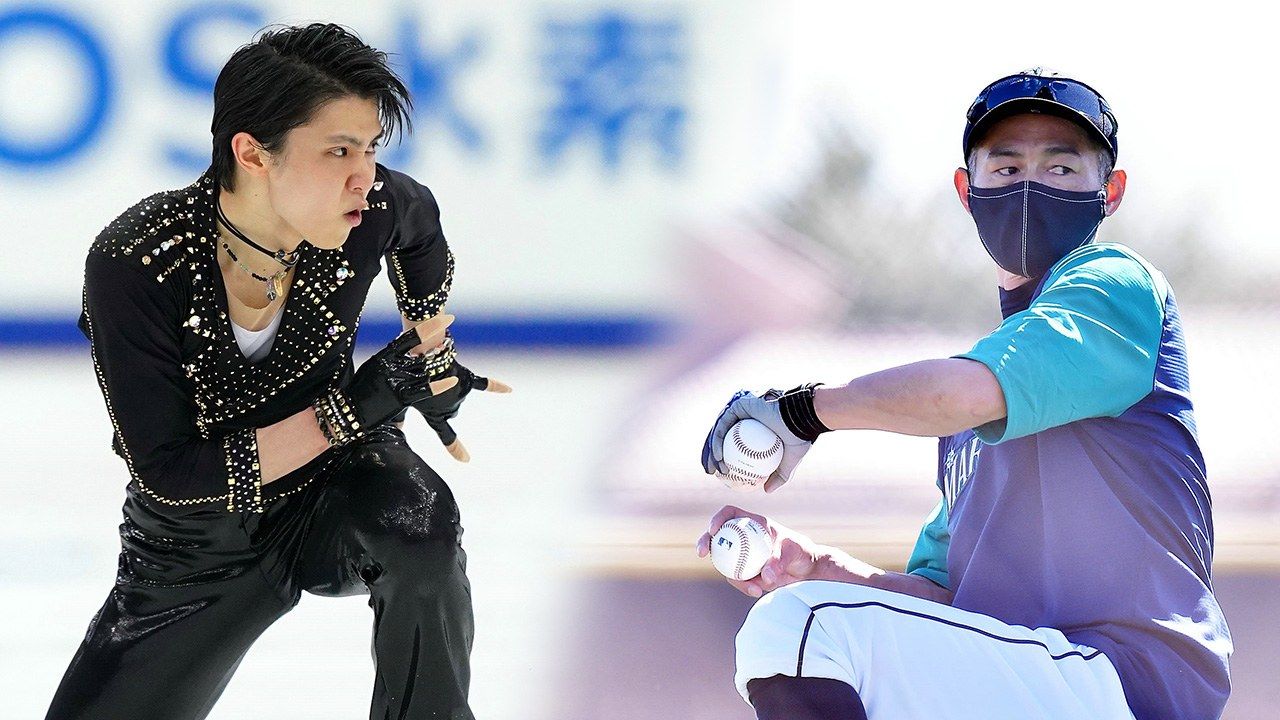 为稳健的奢